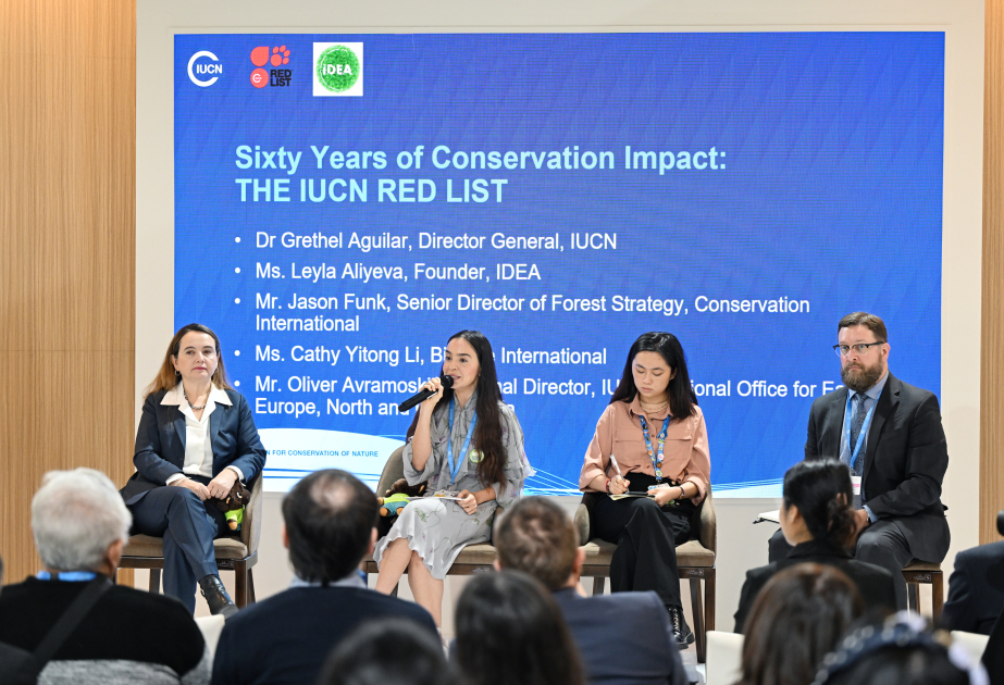 La Vicepresidenta de la Fundación Heydar Aliyev participa en el panel sobre especies raras de la COP29