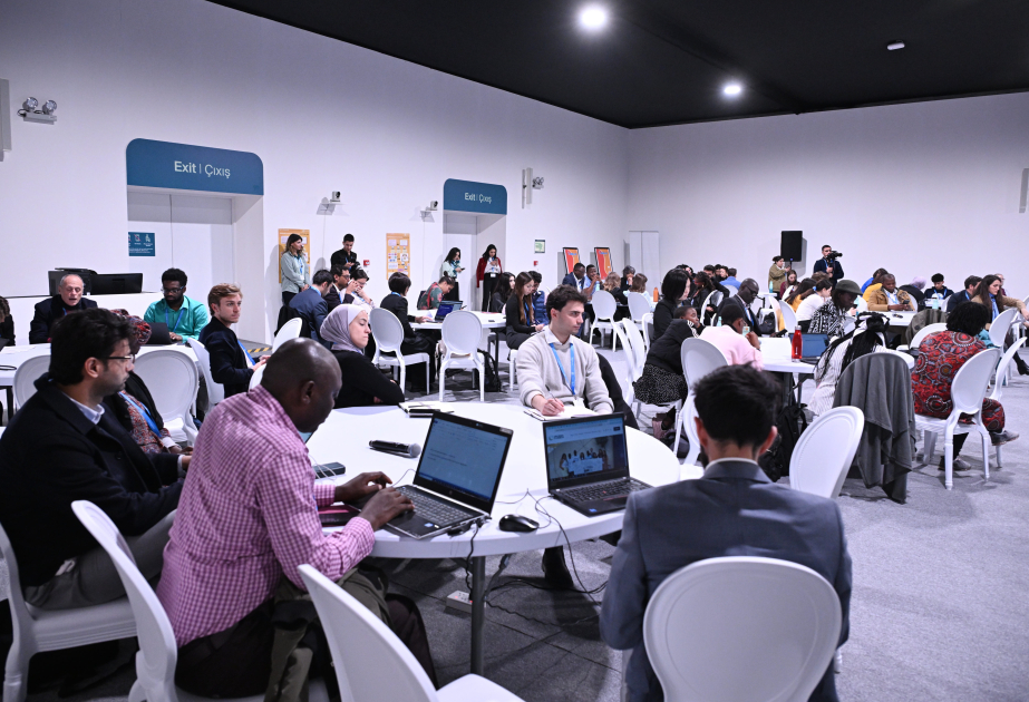Un panel intitulé « L’implication significative des enfants et des jeunes dans le processus CDN 3.0 » tenu dans le cadre de la COP29