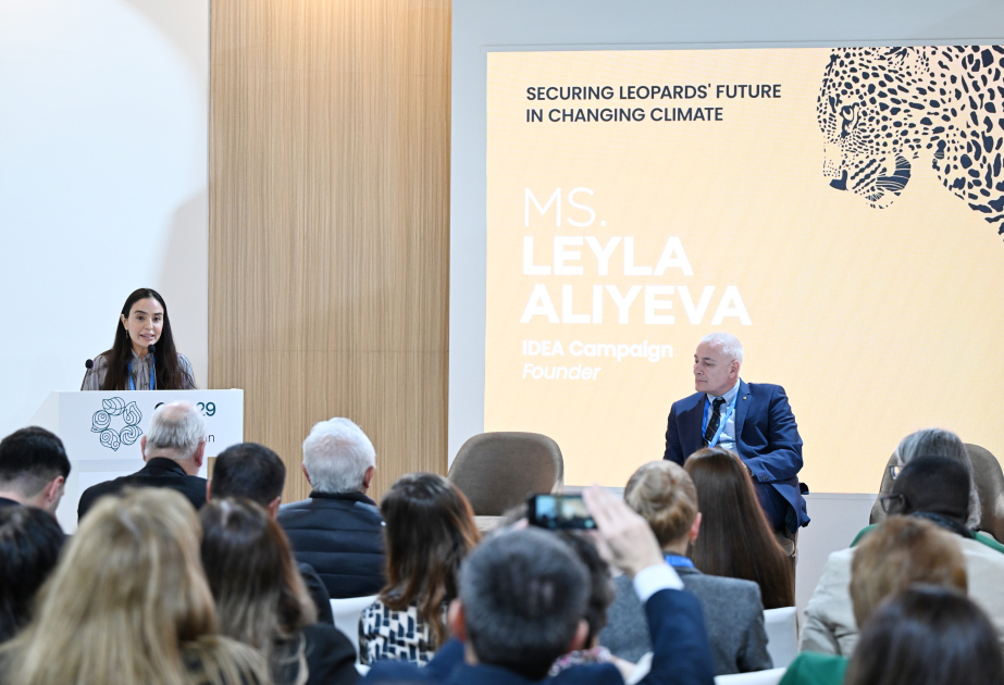 Лейла Алиева в рамках COP29 выступила на мероприятии, посвященном защите леопардов ВИДЕО