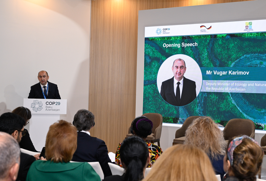 COP29-da iqlim dəyişikliyinin transsərhəd su resurslarına təsiri ilə bağlı məqsəd və hədəflər müzakirə edilib