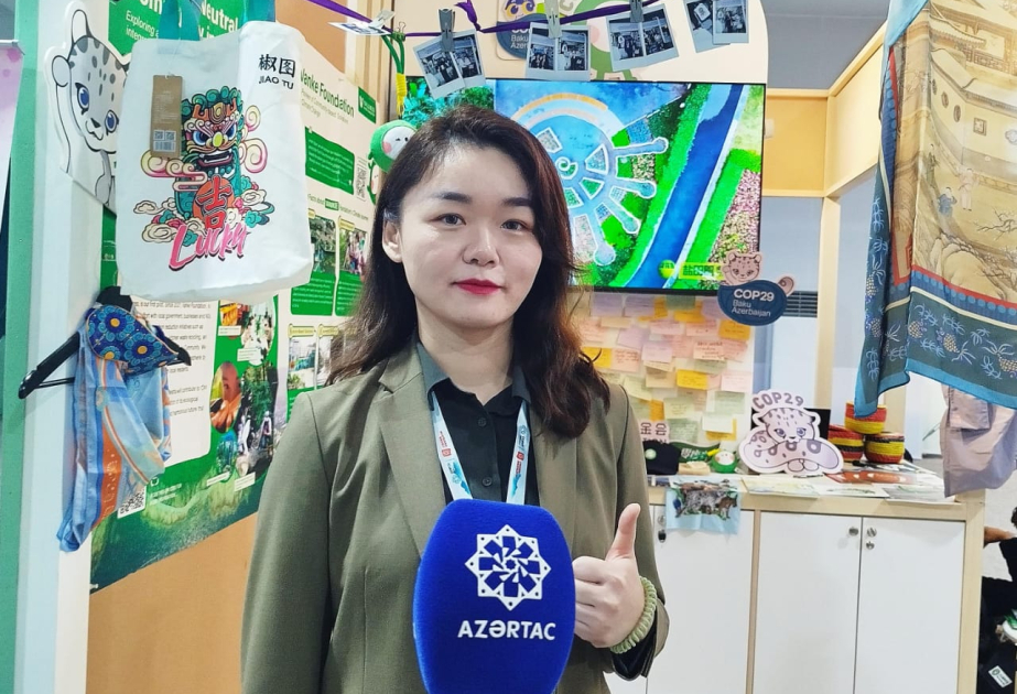 Çinli layihə meneceri: COP29-da maliyyə məsələlərinə diqqət yetiririk