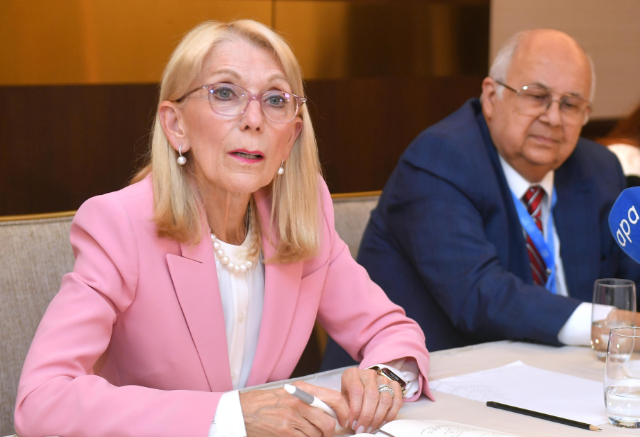 Cin Baderşnayder: Təzyiqlərə baxmayaraq, Azərbaycan COP29-u keçirməklə böyük bir addım atmış oldu VİDEO