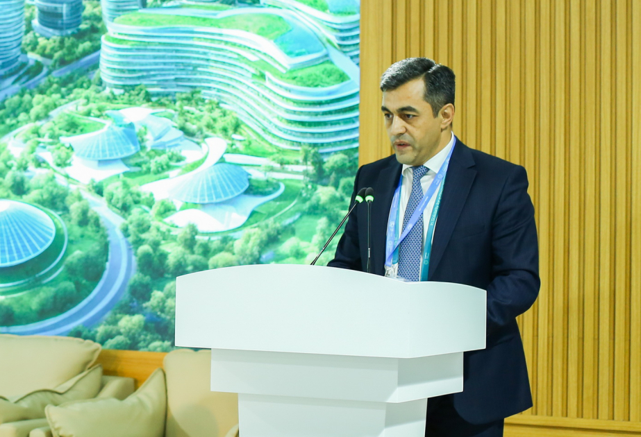 ®  COP29 çərçivəsində “City for People in Baku” tədbiri keçirilib