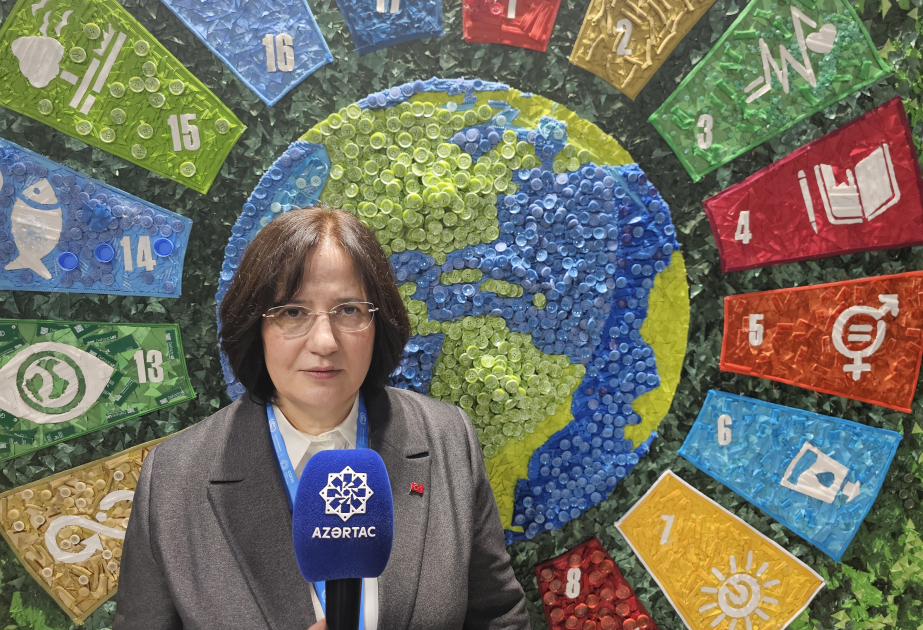 Nazir müavini: Türkiyə COP29-da təqribən 1800 nəfərlə iştirak etdi