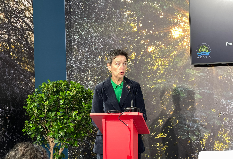 UK Minister: Nature is our priority at COP29