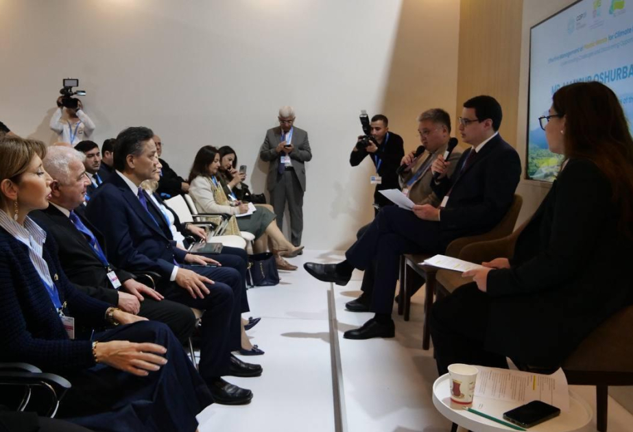 COP29 highlights challenges in plastic waste management