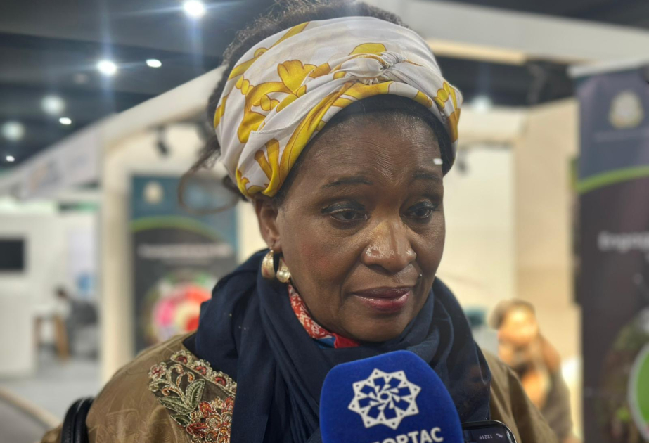 Aminata Diallo: Nous sommes venus plaider pour un regard plus important sur les pays qui souffrent du réchauffement climatique