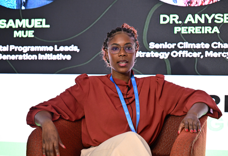 COP29: Initiative für erneuerbare Energien in Afrika