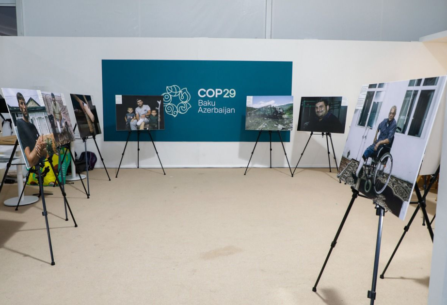 Gilavar Foto Klubunun 30-a yaxın üzvü COP29-da iştirak edib
