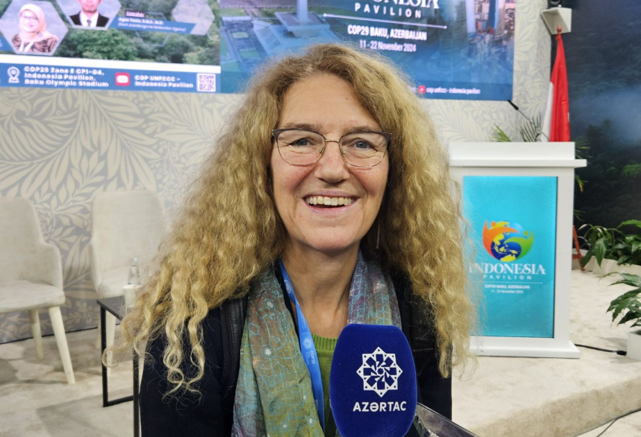 Norwegian delegate: It is an exciting experience to join COP29 discussions