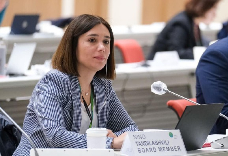 Nino Tandilaşvili: COP29-da kənd təsərrüfatı nazirlərinin iclası çox yüksək səviyyədə təşkil olunmuşdu