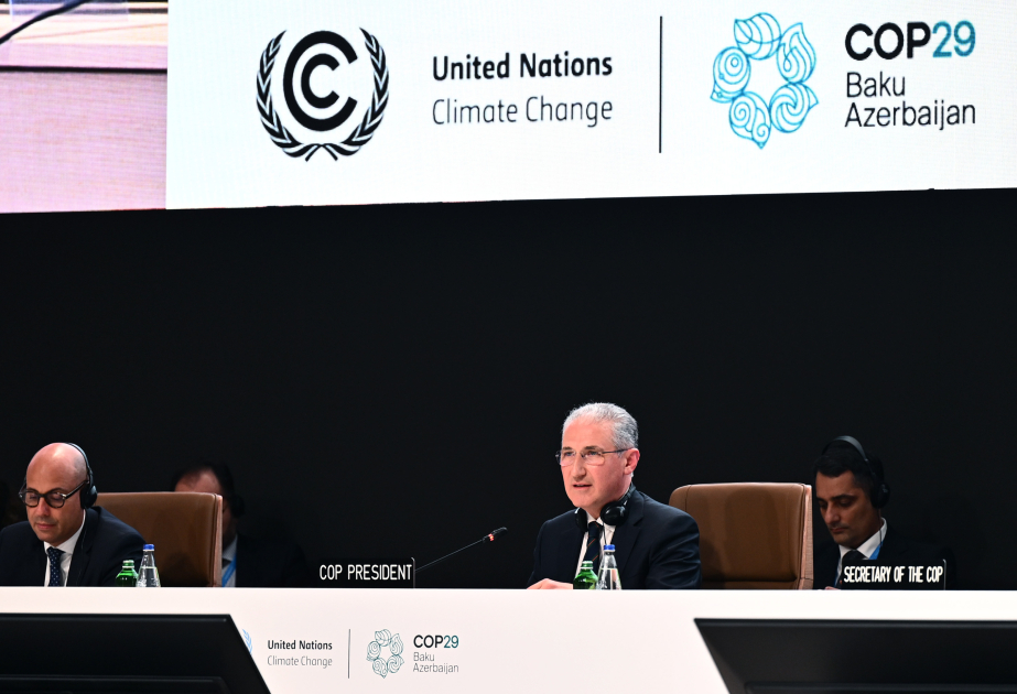 COP29 adopts new collective quantified goal on climate finance