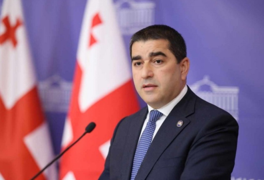 Georgia's Parliament re-elects Shalva Papuashvili, voting results show