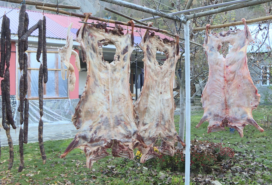 Qaxacı gecələr ayaz, gündüzlər günəş qurudar