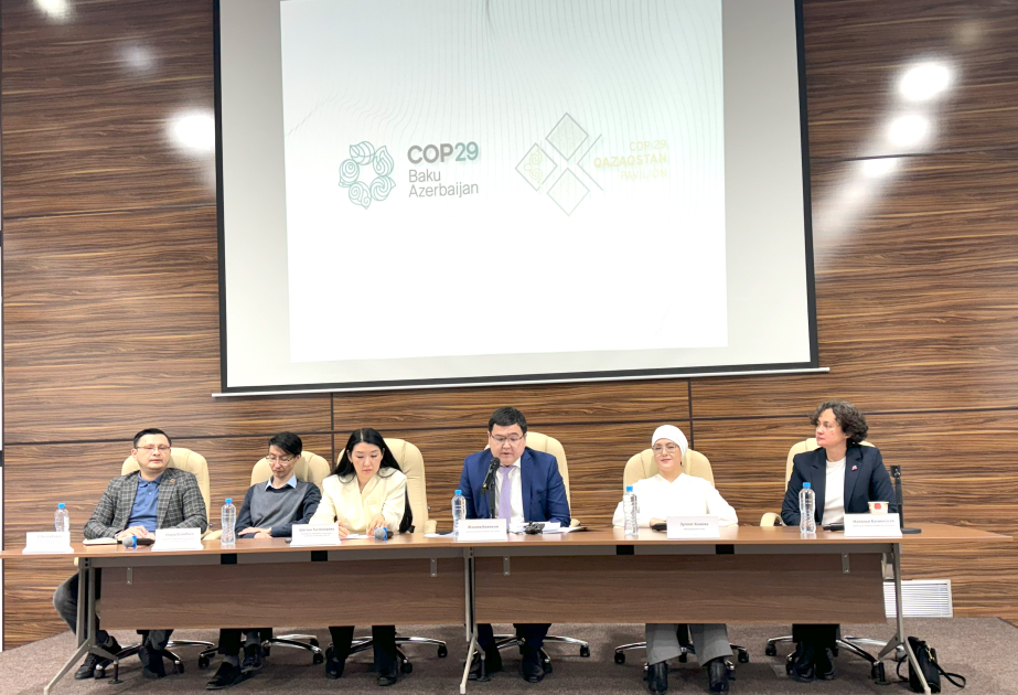 В Астане подвели итоги участия Казахстана в климатическом саммите COP29