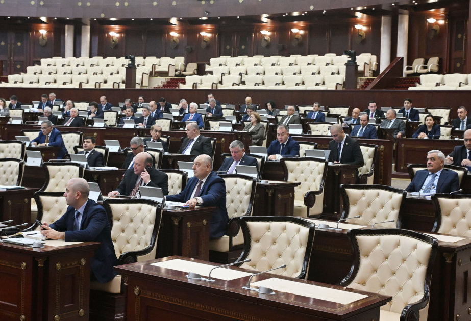 Milli Məclis DSMF-nin 2025-ci il büdcəsi haqqında qanun layihəsini birinci oxunuşda təsdiqləyib