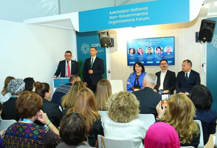 En Lefkosh acogieron con satisfacción la exitosa organización de la COP29 en Azerbaiyán