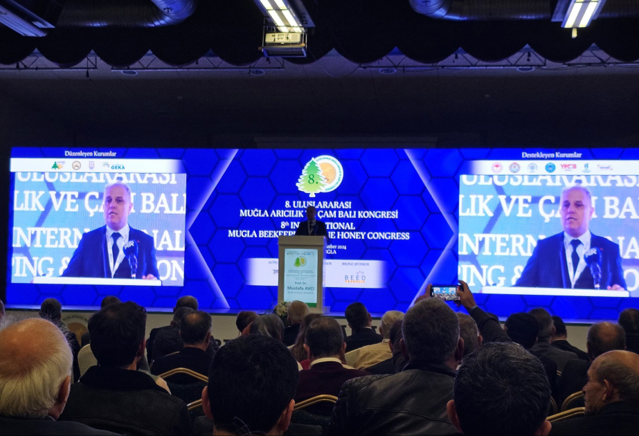 Qəbələ Dövlət Peşə Təhsil Mərkəzinin müəllimləri Türkiyədə beynəlxalq konqresdə iştirak ediblər