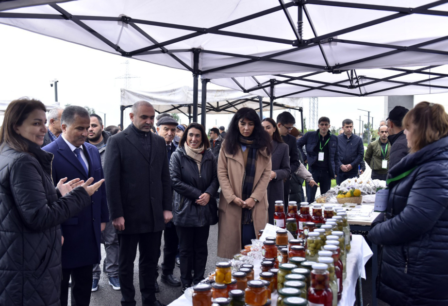 Lənkəran və Lerik rayonlarında Aqrar Biznes festivalları keçirilib
