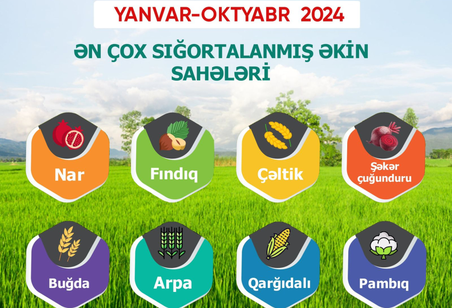 Meyvə bağları və əkin sahələri üzrə aqrar sığorta ödənişləri 4 dəfə artıb