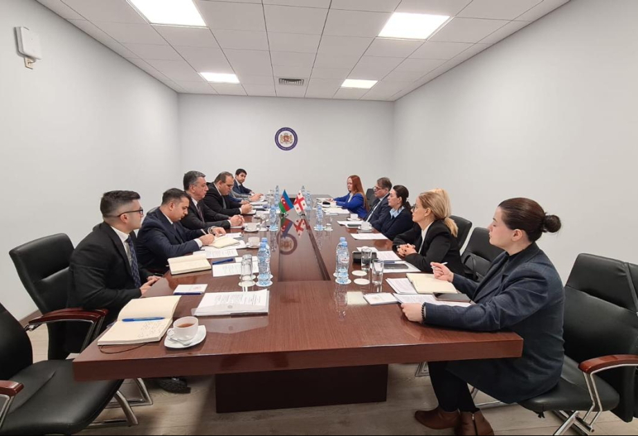 Azərbaycanın və Gürcüstanın XİN-ləri arasında növbəti konsulluq məsləhətləşmələri aparılıb