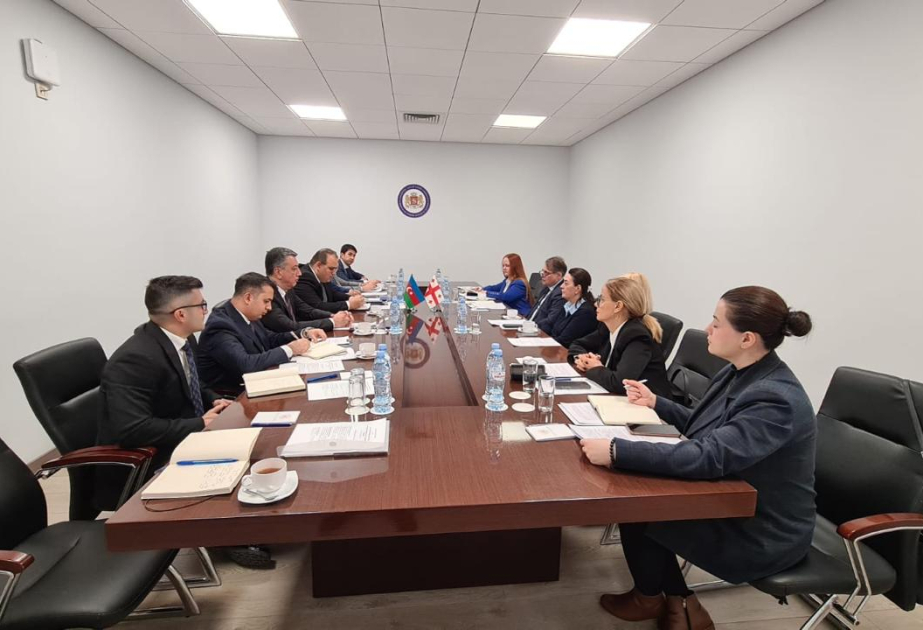 Foreign Ministries of Azerbaijan and Georgia hold another round of consular consultations