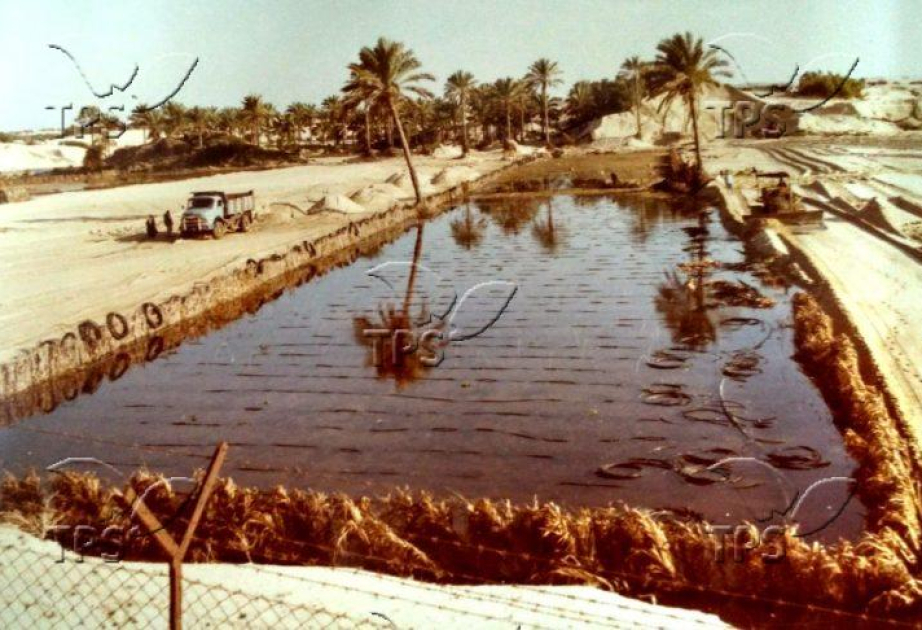 The Press Service of Israel: Ancient agricultural innovation offers hope for future sustainability, researchers say