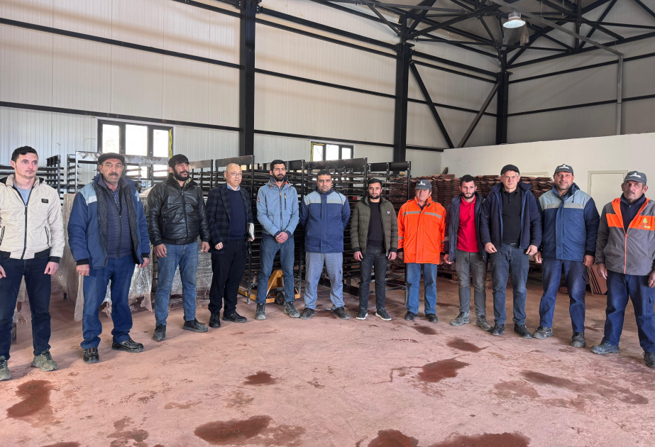 Yaponiyalı professor Laçına səfər edib