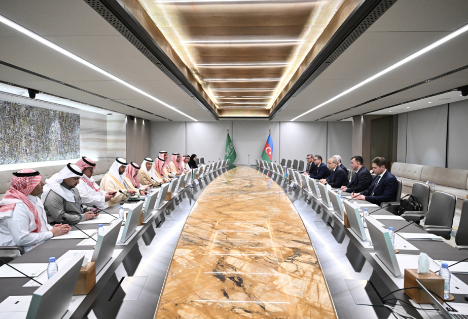 Azerbaijan and Saudi Arabia discuss priorities of green energy agenda