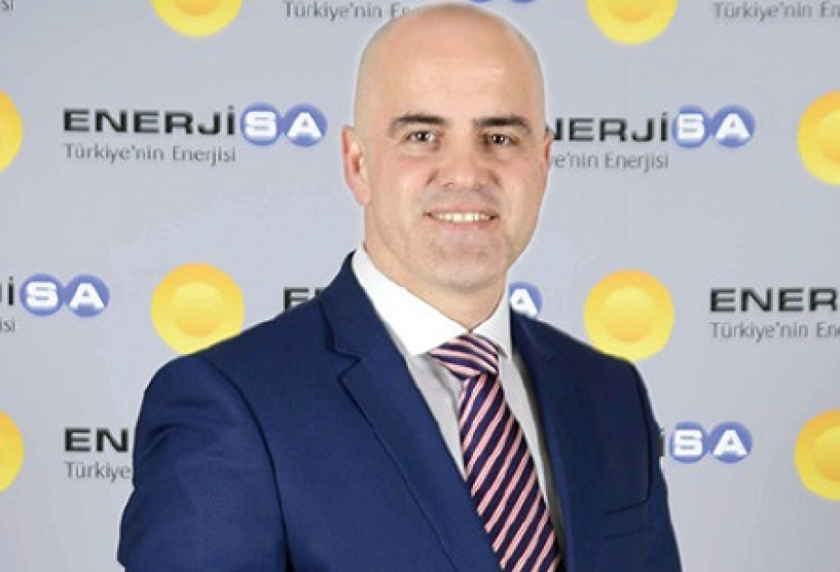 “Sabancı” holdinqinin nümayəndəsi: Yaşıl enerji sahəsində Türkiyə üçün böyük imkanlar açılır