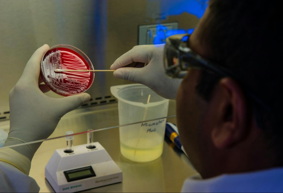 Alimlər: Antibiotiklərə davamlı bakteriyaların yayılması səhiyyə sahəsində ciddi narahatlıq doğurur