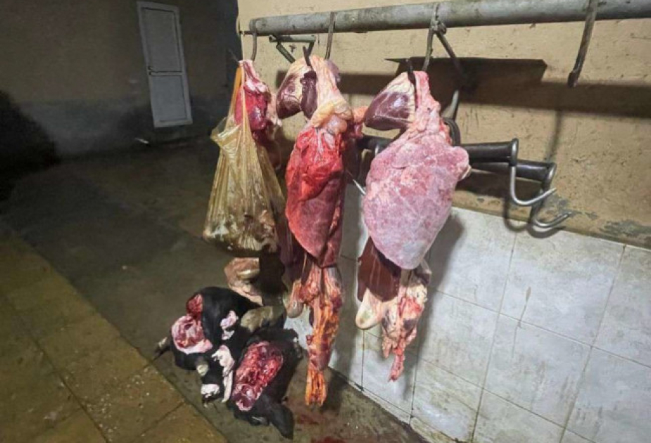 Ağcabədidə istehlaka yararsız ətin satışının qarşısı alınıb