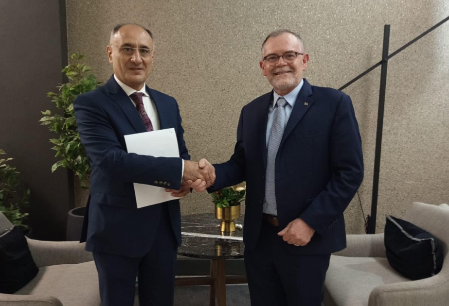 COP29-da iştirak edən CAR nümayəndə heyətinin rəhbəri: Azərbaycanın təşkilatçılıq təcrübəsi digər dövlətlər üçün nümunədir