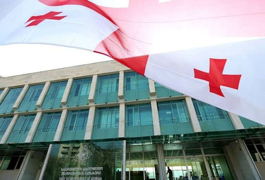 Gürcü səfir: Avropalı parlamentarilərin bəyanatları vəziyyəti daha da gərginləşdirib