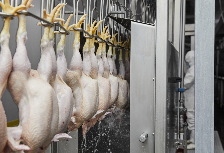 AQTİ: İki qida subyekti müəssisəsinə “HALAL” uyğunluq sertifikatı təqdim olunub