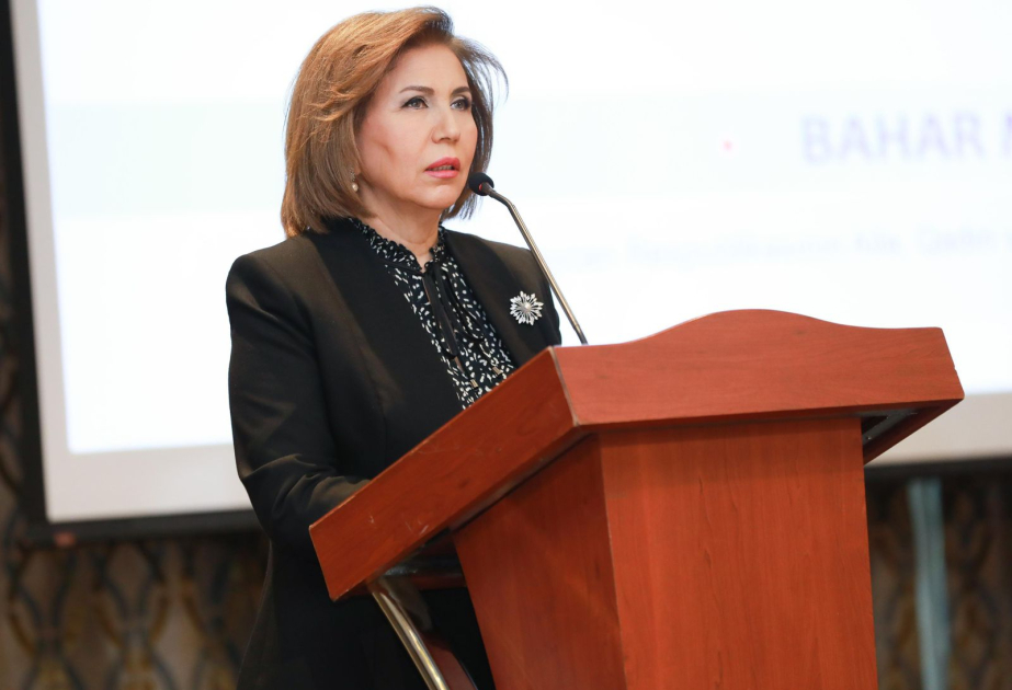 Komitə sədri: Dövlət üçün ən vacib iş onun insan kapitalına sərmayə qoymasıdır