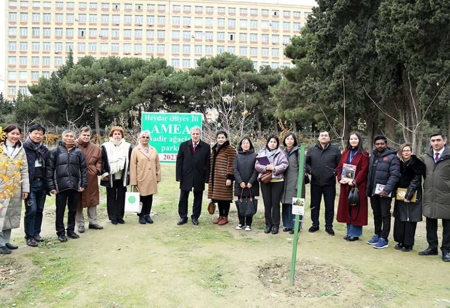 Beynəlxalq konfransın iştirakçıları AMEA-nın Nadir ağaclar parkında ağacəkmə aksiyasında iştirak ediblər