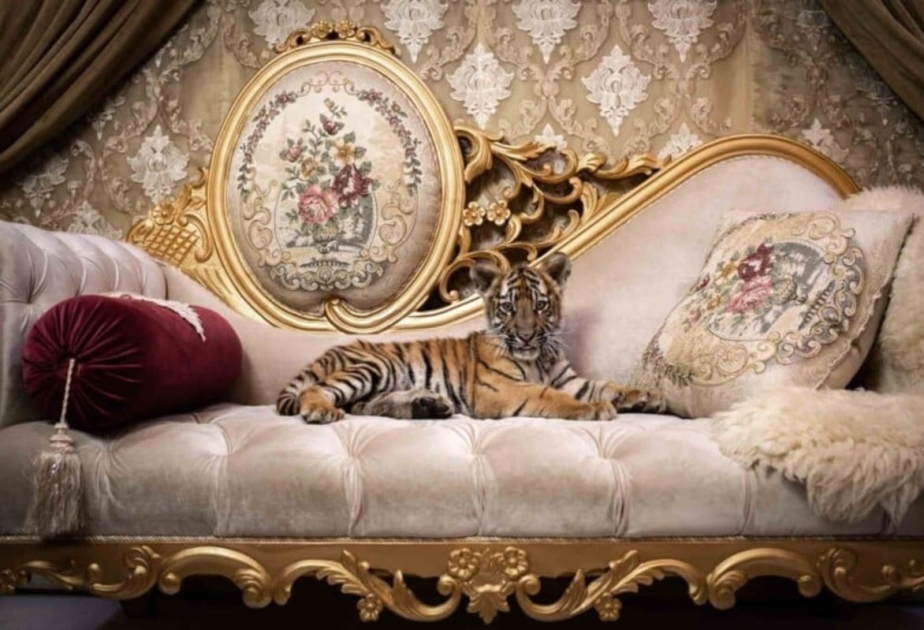 La ganadora del concurso Nature Photographer of the Year es una fotógrafa italiana