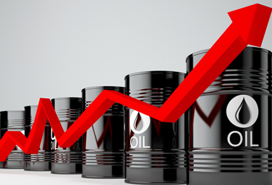 Цены на нефть на мировых биржах выросли