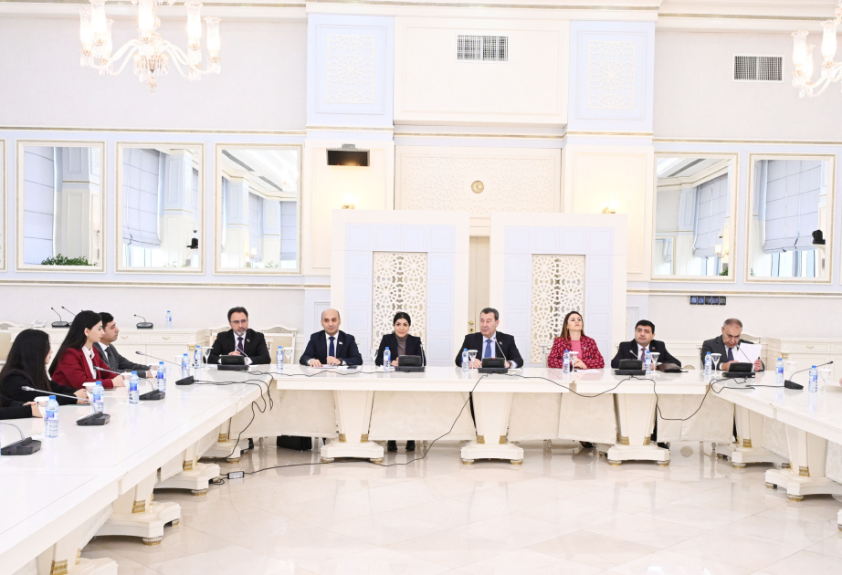 В Милли Меджлисе прошла встреча с «Волонтерами дипломатии»