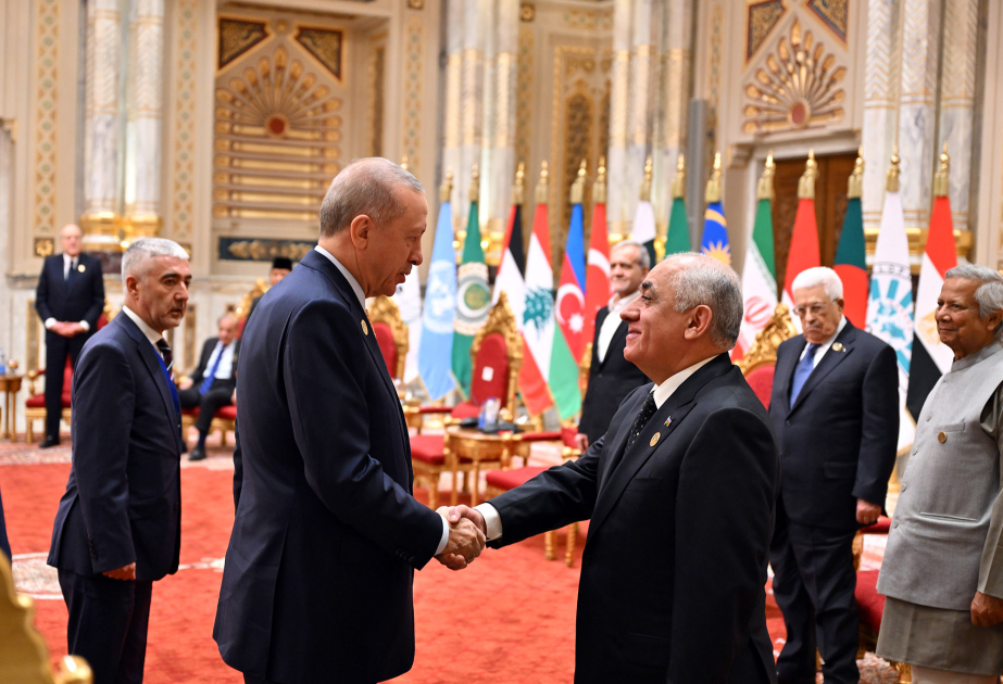 El Primer Ministro de Azerbaiyán mantuvo una serie de reuniones al margen de la XI cumbre del D-8 en El Cairo