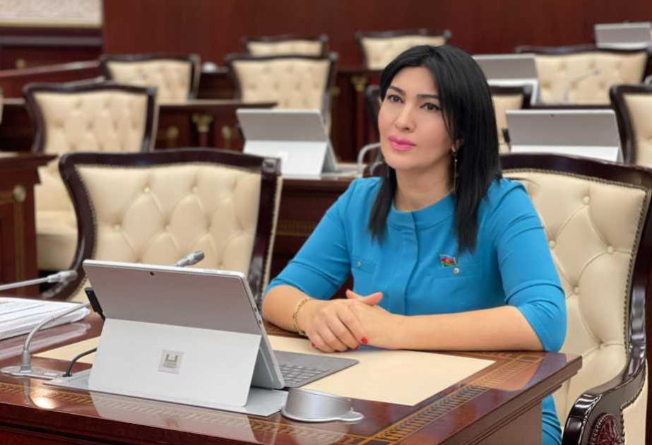 Prezident İlham Əliyevin müsahibəsi: məzmunlu, çoxhədəfli, dürüst və hökmlü ŞƏRH