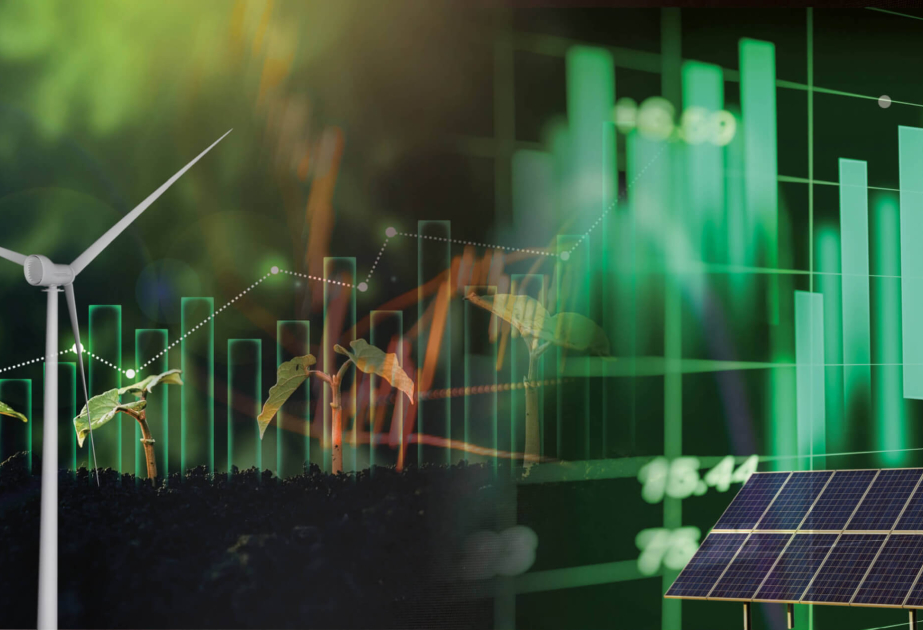 Enerji Effektivliyi Fondunun vəsaiti yalnız enerji effektivliyi üzrə tədbirlərin təşviqinə yönəldiləcək