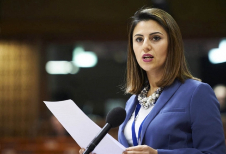 Prezidentin müsahibəsi regional və beynəlxalq təhlükəsizliklə əlaqədar Azərbaycanın mövqeyini aydın ifadə etdi  ŞƏRH