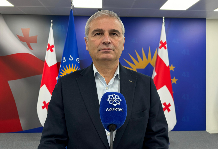 İrakli Kadaqişvili: Prezident İlham Əliyevin Gürcüstandakı vəziyyətlə bağlı fikirləri reallıqdır
