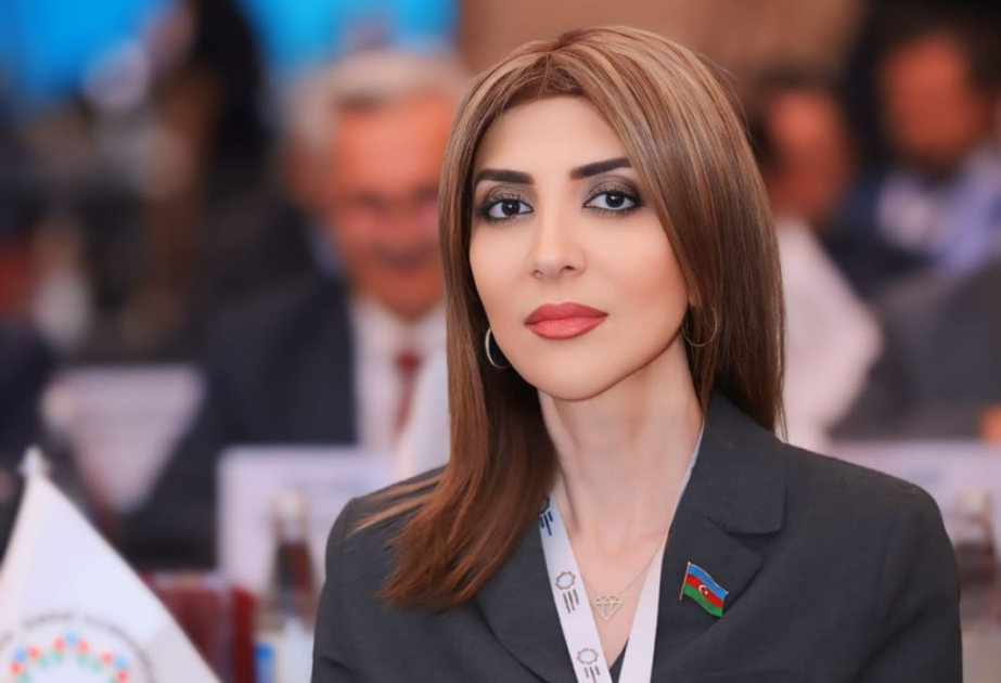 Ermənistanın hərbiləşmə meyilləri regionda silahlanma yarışını sürətləndirir  ŞƏRH