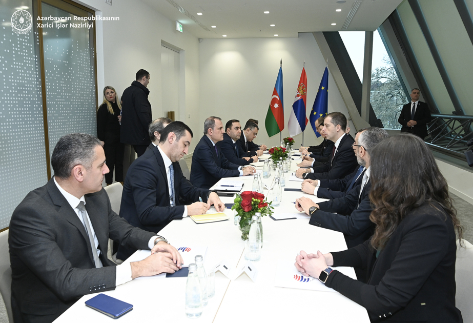 Azerbaijani FM briefs Serbian counterpart about projects implemented in Karabakh and East Zangezur regions