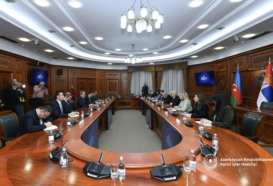 El Primer Ministro serbio ha sido informado del potencial de Azerbaiyán en la producción de energía verde