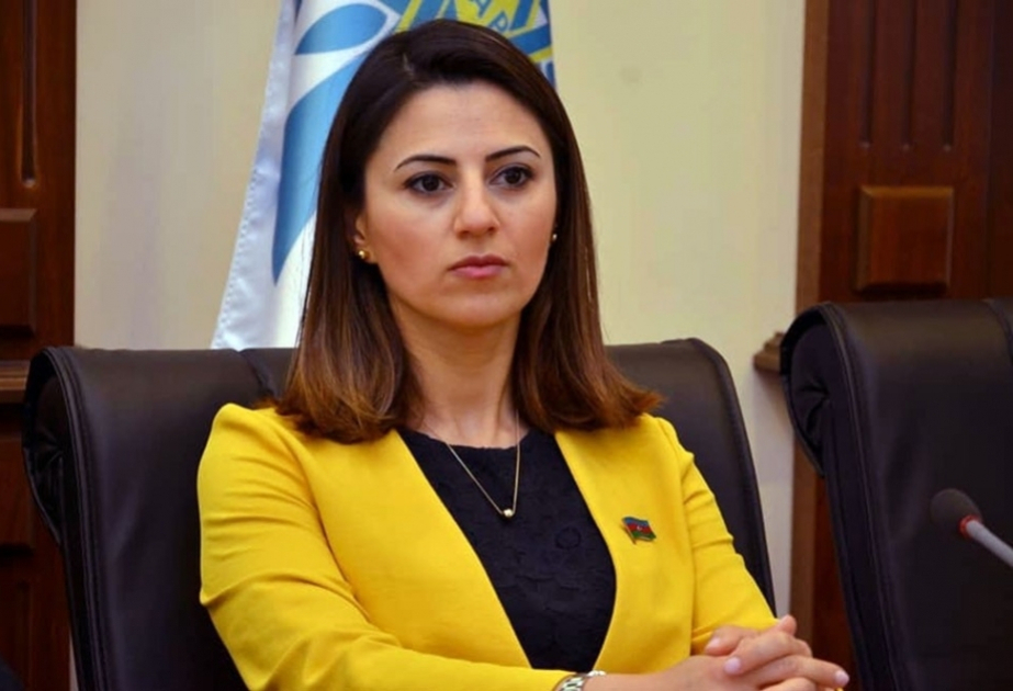 Azərbaycanın regionda yaratdığı yeni reallıqlar daha böyük nailiyyətlər qazanmasını hədəfləyib  ŞƏRH