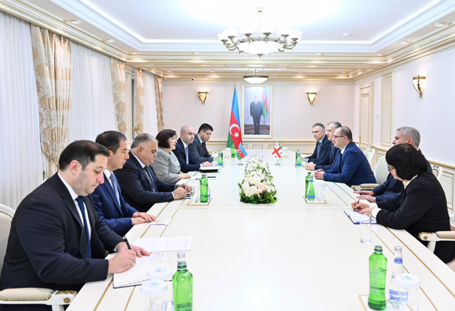 Azərbaycan və Gürcüstan parlamentləri arasında əməkdaşlıq məsələləri müzakirə edilib